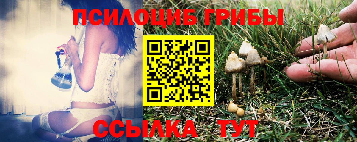 Анапа  Галлюциногенные грибы Cubensis  Вход с VPN 